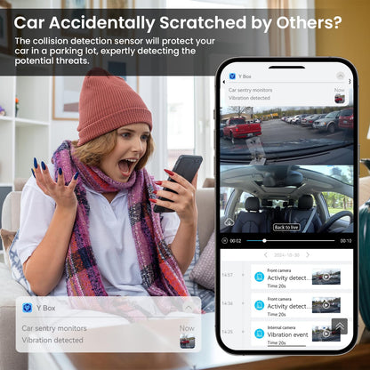 DriveView Sentry Pro